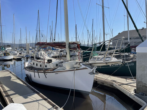 Aquarius Pilot Cutter 24