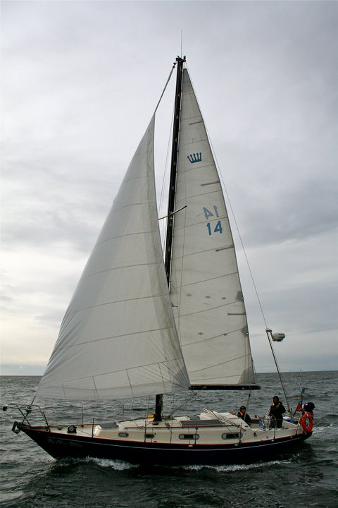 Contessa 32