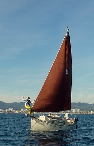 Flicka 20 gallery image with filename: flicka20-billhogan-nomad3.jpg