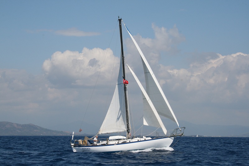 Ingrid 38