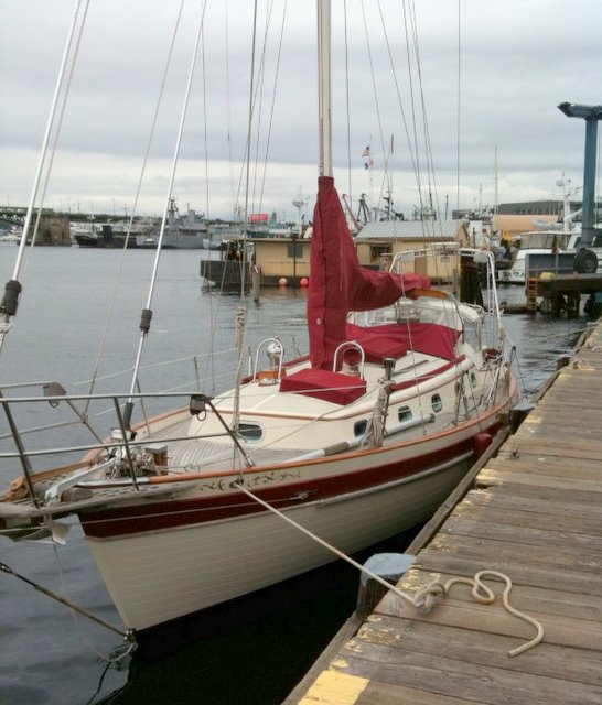 Panda 38 gallery image with filename: panda38-guudtaauun-docked.jpg