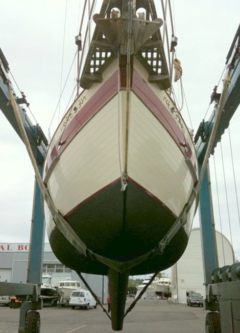 Panda 38 gallery image with filename: panda38-guudtaauun-haulout.jpg