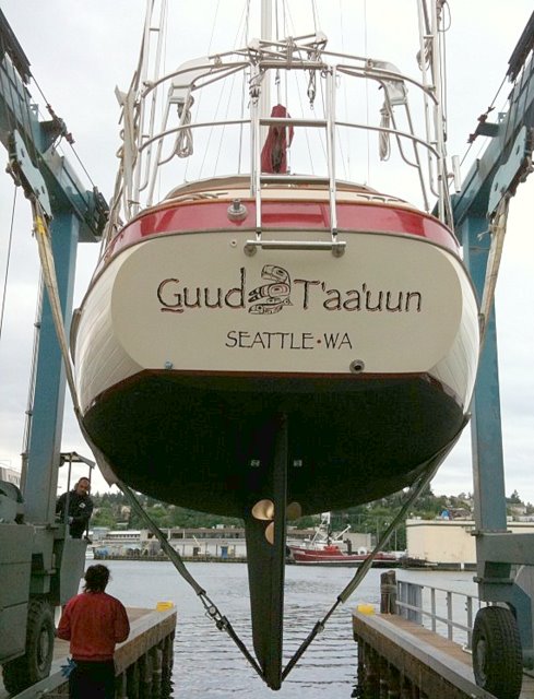 Panda 38 gallery image with filename: panda38-guudtaauun-hauloutstern.jpg