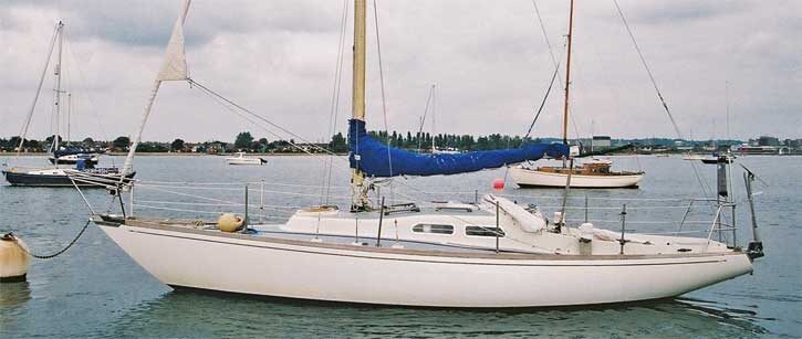 SHE 31