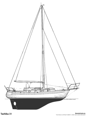 Tashiba 31