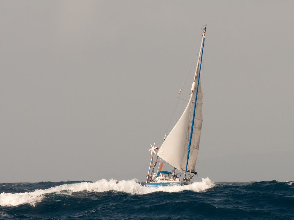 Vancouver 27 gallery image with filename: vancouver27-bosunbird-offvanuatu.jpg